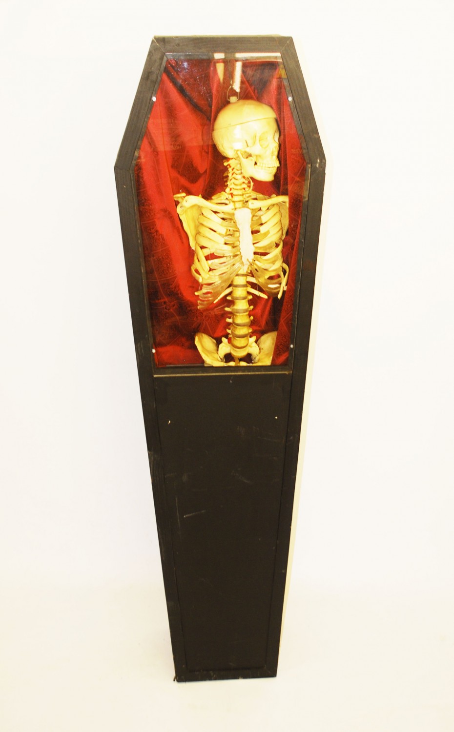Skeleton in Coffin (1.8m (H) / Full Size) - Theme Prop Hire