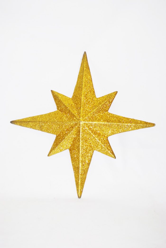 5.GOLD STAR3D(LARGE)(FIBREGLASS)