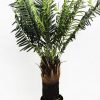 PALM TREE 1.2M