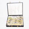 Briefcase with Cash