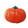 Large Pumpkin